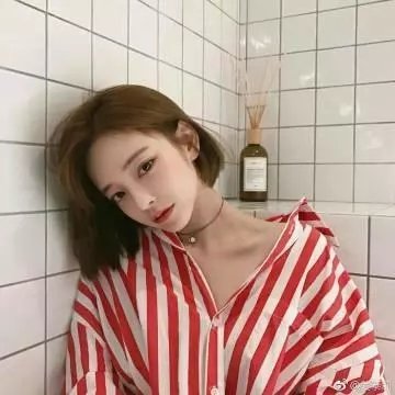 飞驰中的马